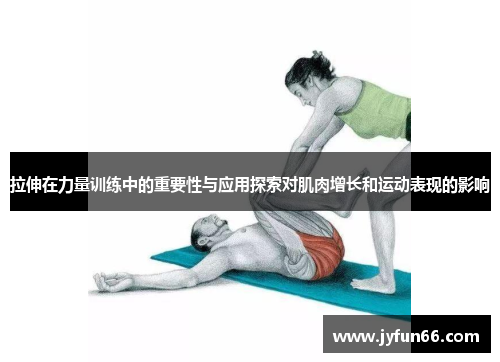 拉伸在力量训练中的重要性与应用探索对肌肉增长和运动表现的影响